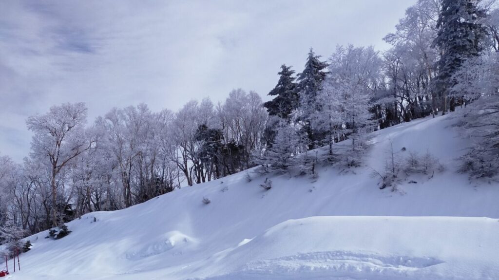ハンタマの積雪状況（2024年3月1日）
