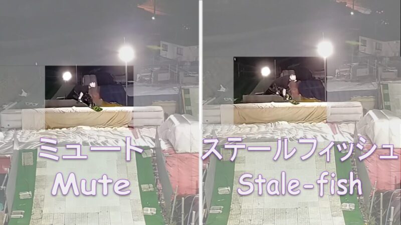 ミュートとステールフィッシュの比較