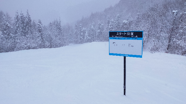 ネコママウンテン　ビッグキッカー